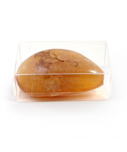 savon transparent argan algue