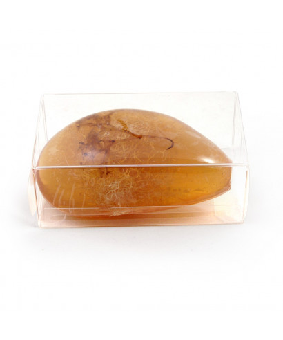 savon transparent argan algue